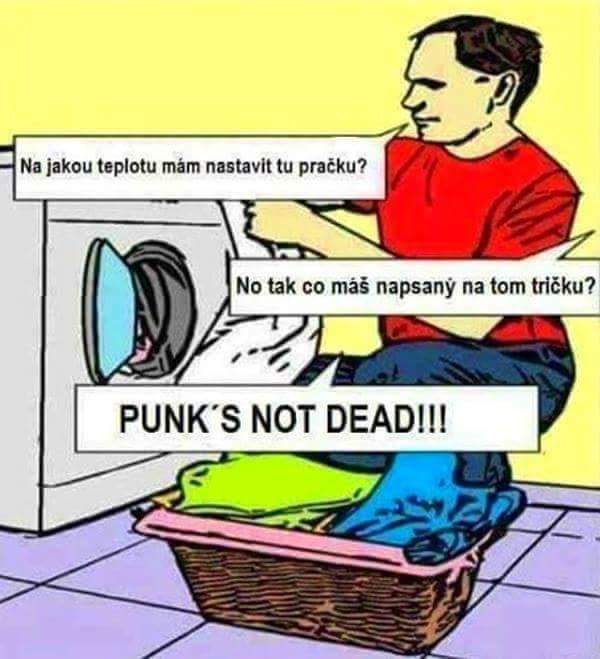 PUNK'S NOT DEAD.jpg