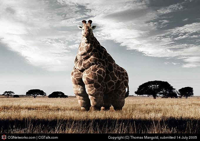 žirafa.jpg